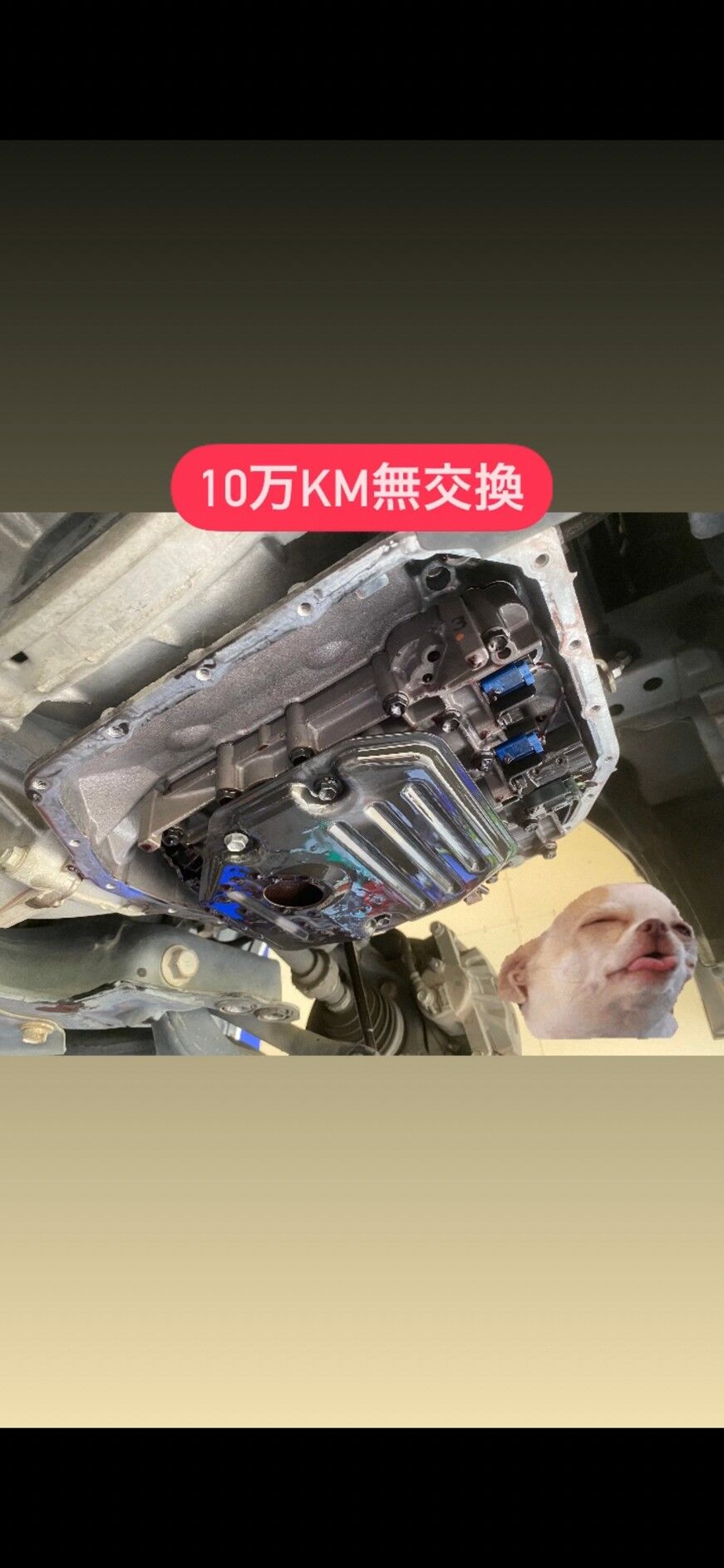 LINE_ALBUM_エスティマ_230903_8